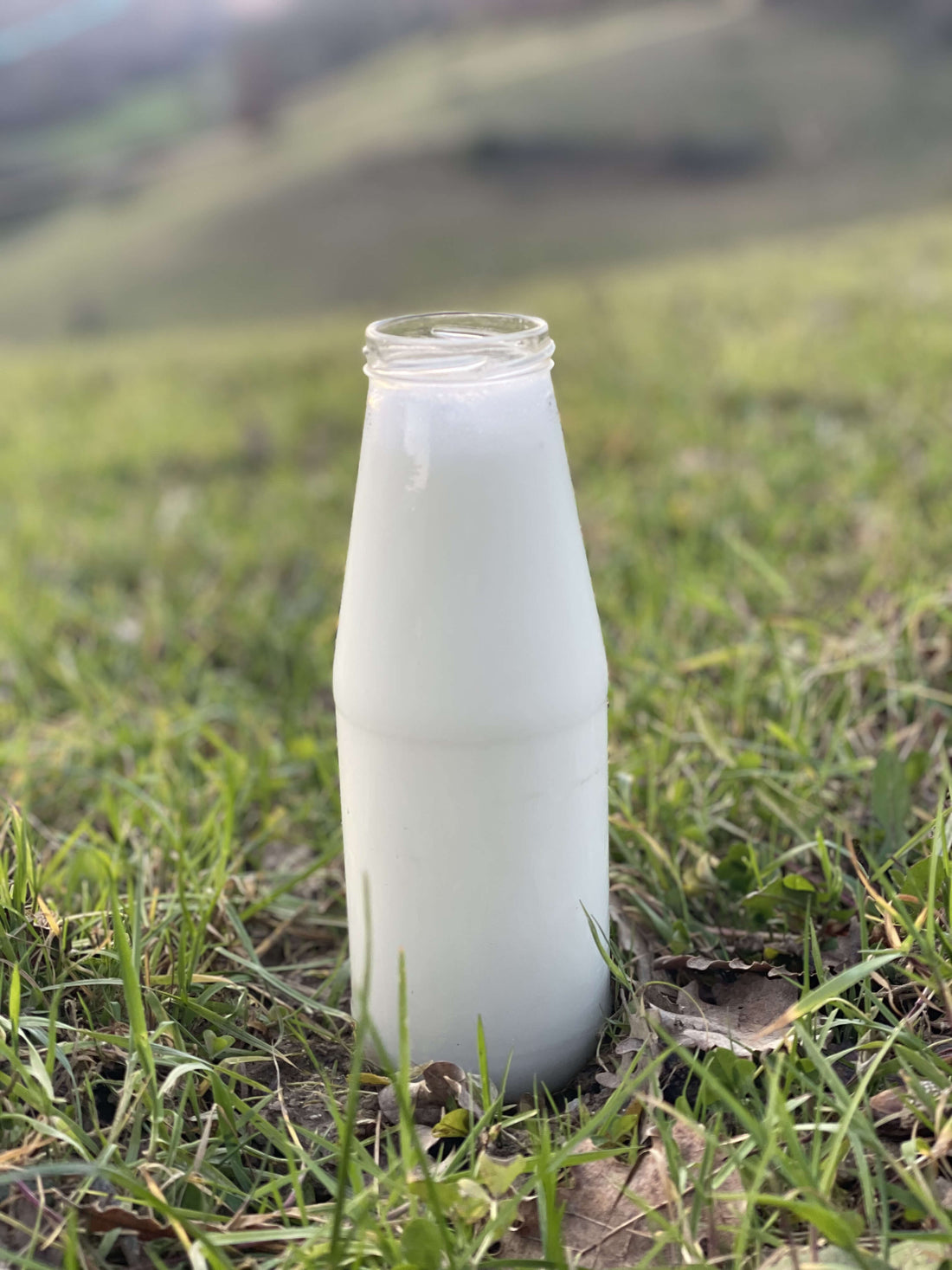 Les bienfaits du lait de jument sur la peau